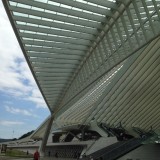 Luifel van het treinstation Luik Guillemins ontworpen door architect Santiago Calatrava.